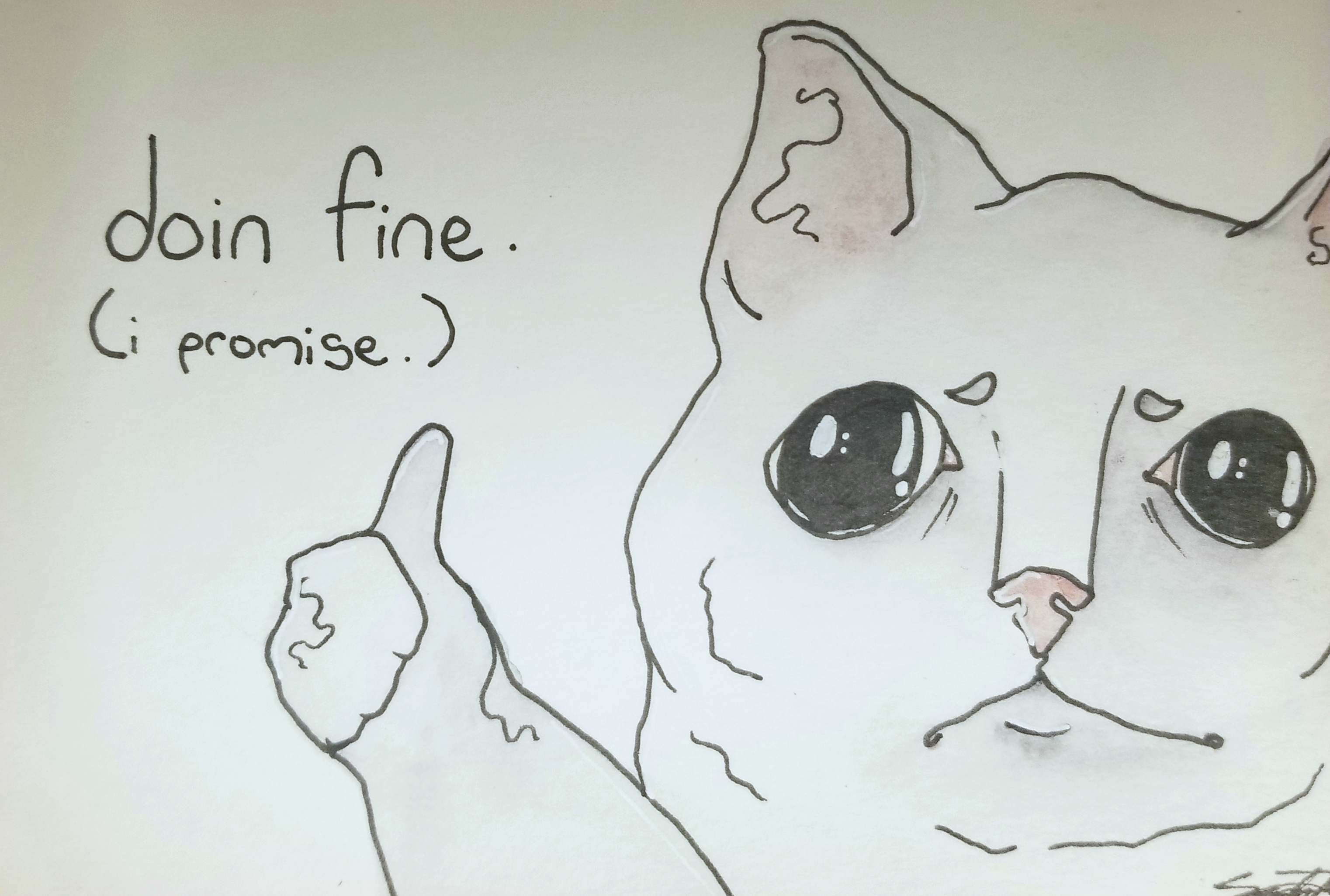 doin-fine-v