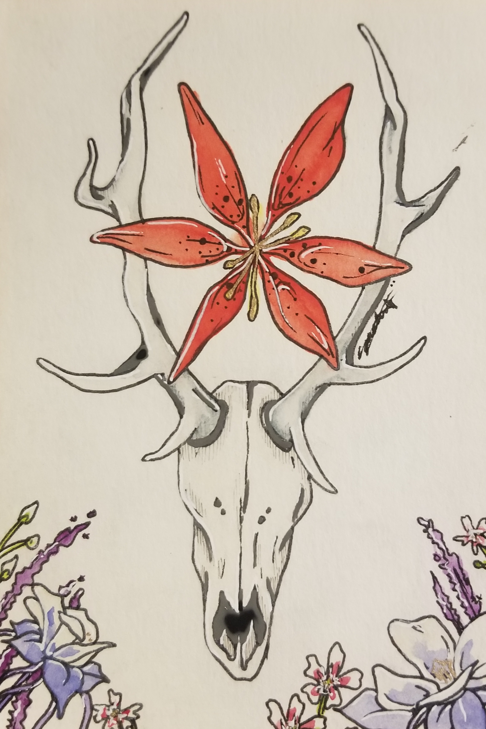 elk-skull-iv