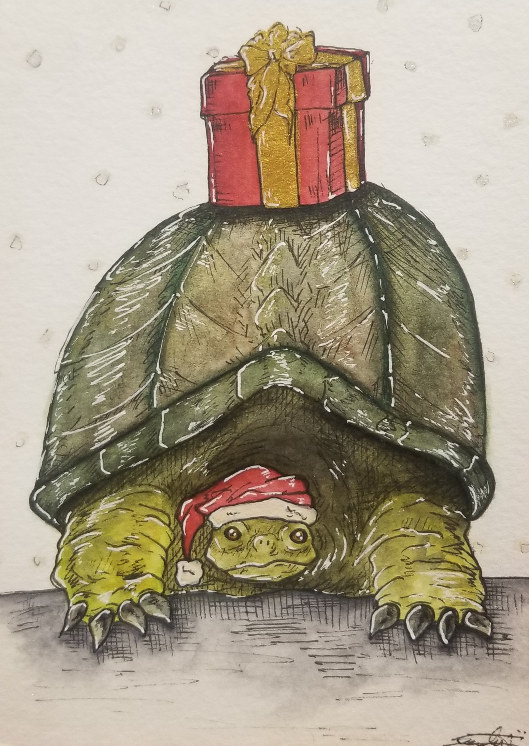 christmas-turtle