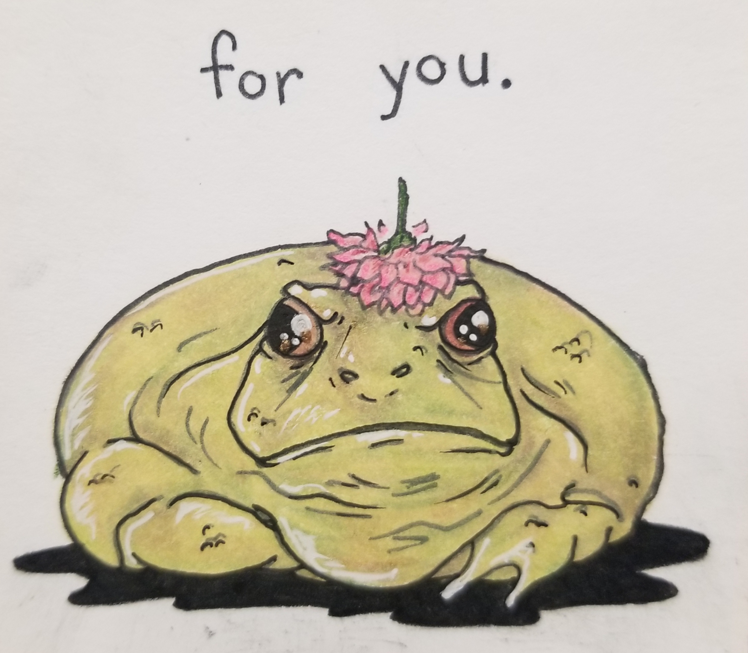 for-you-toad