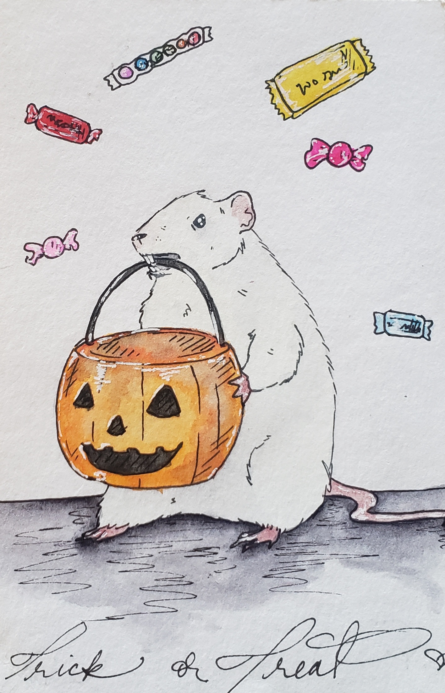 candy-rat