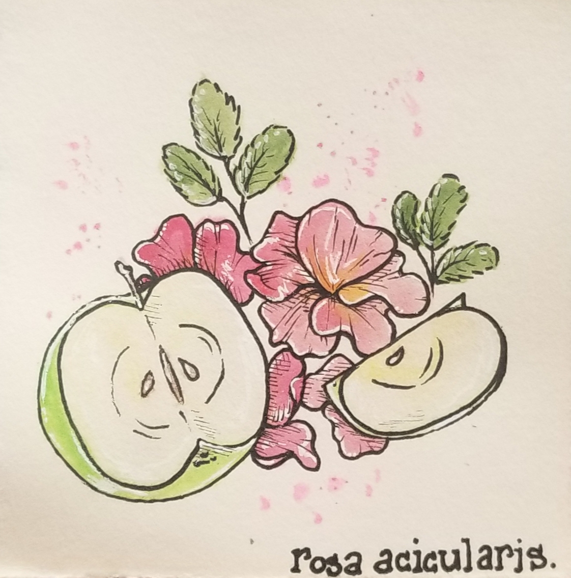 apples-i