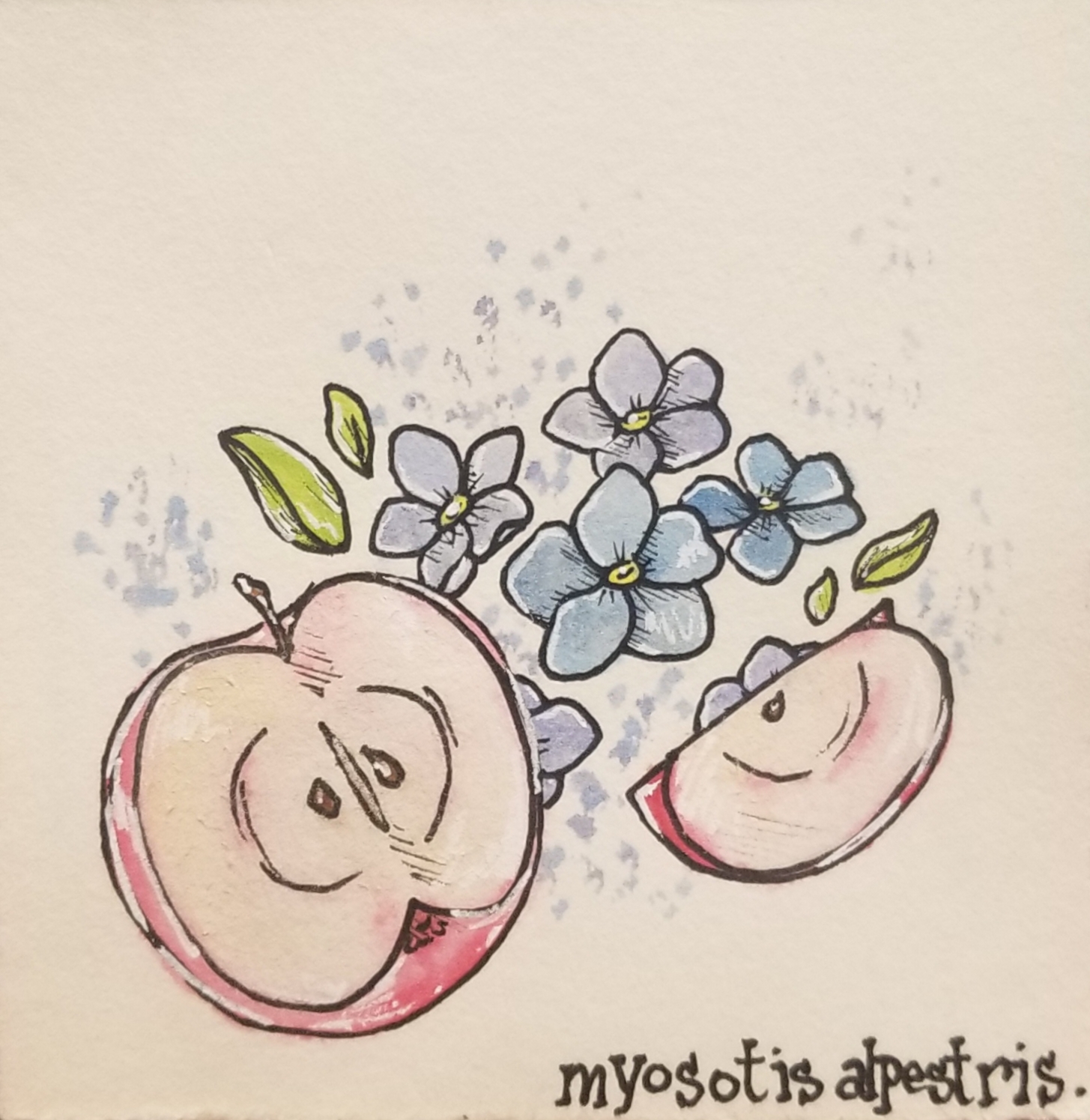 apples-iii