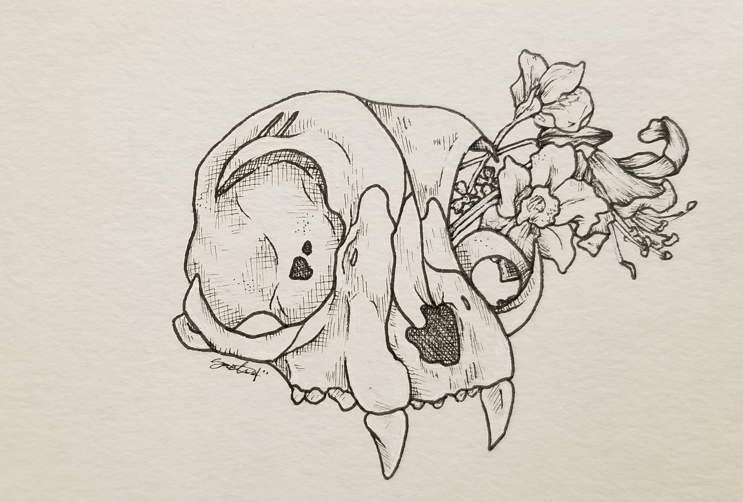 cat-skull-w-flowers-iii