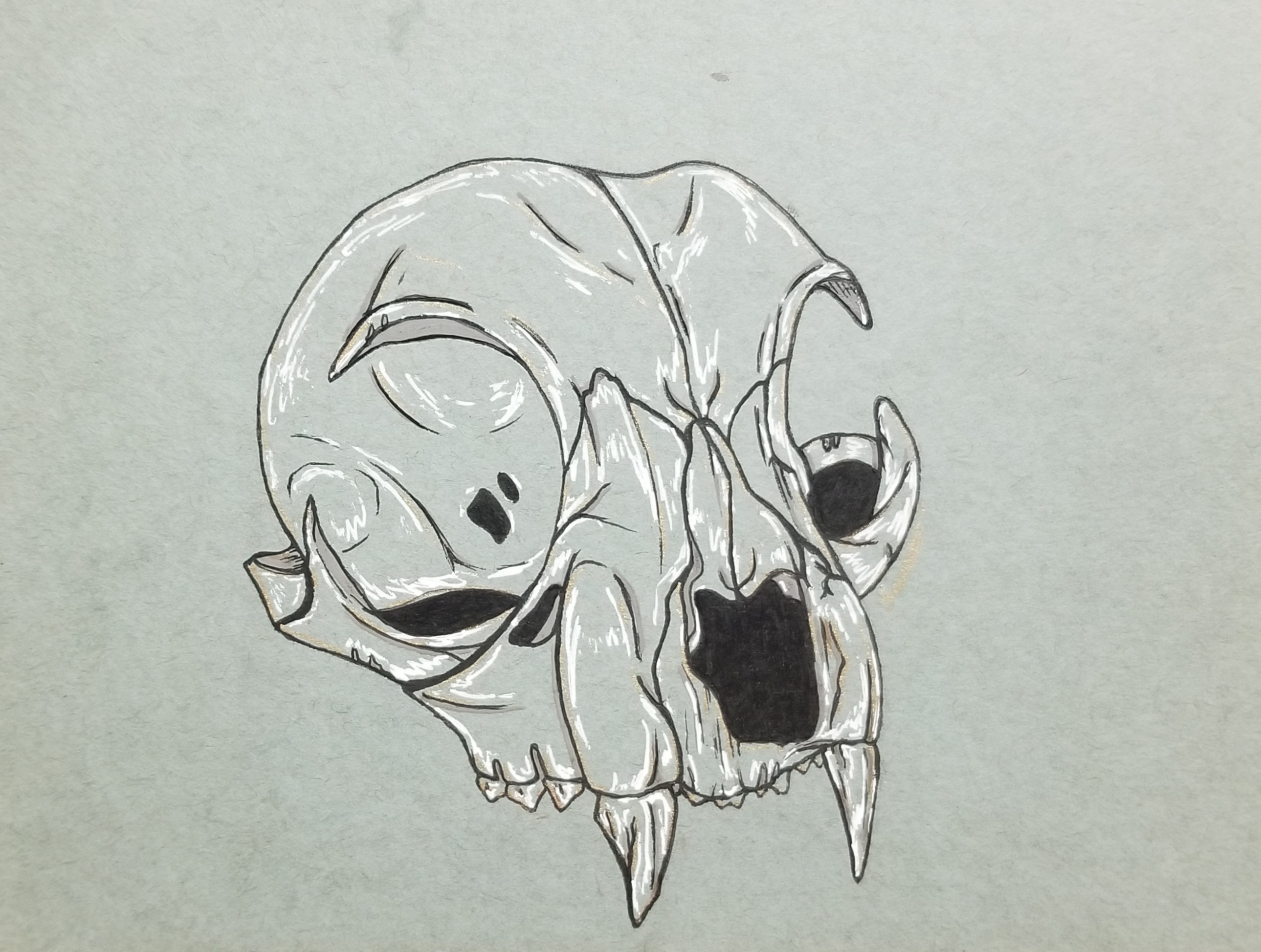 cat-skull