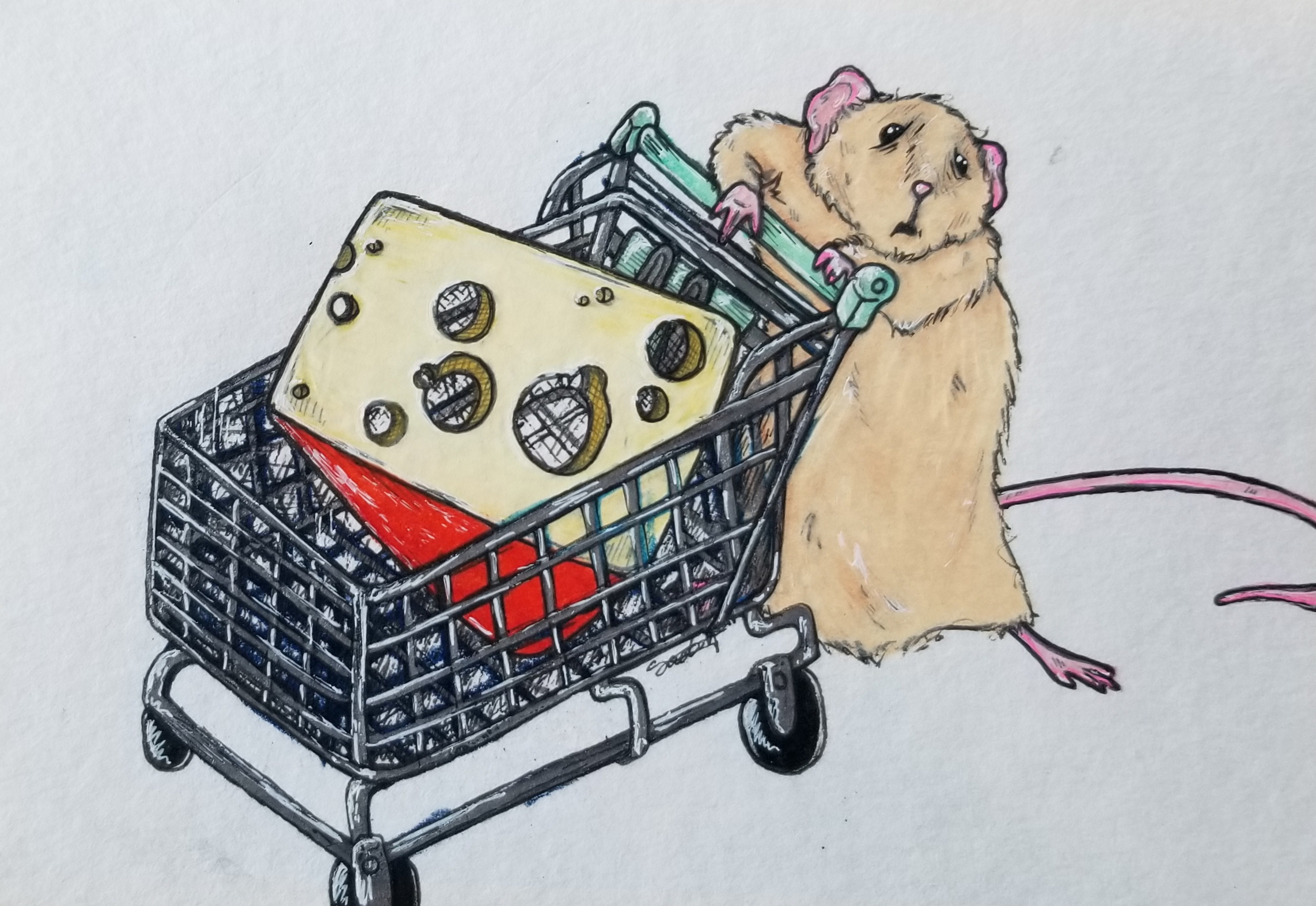 grocery-rat