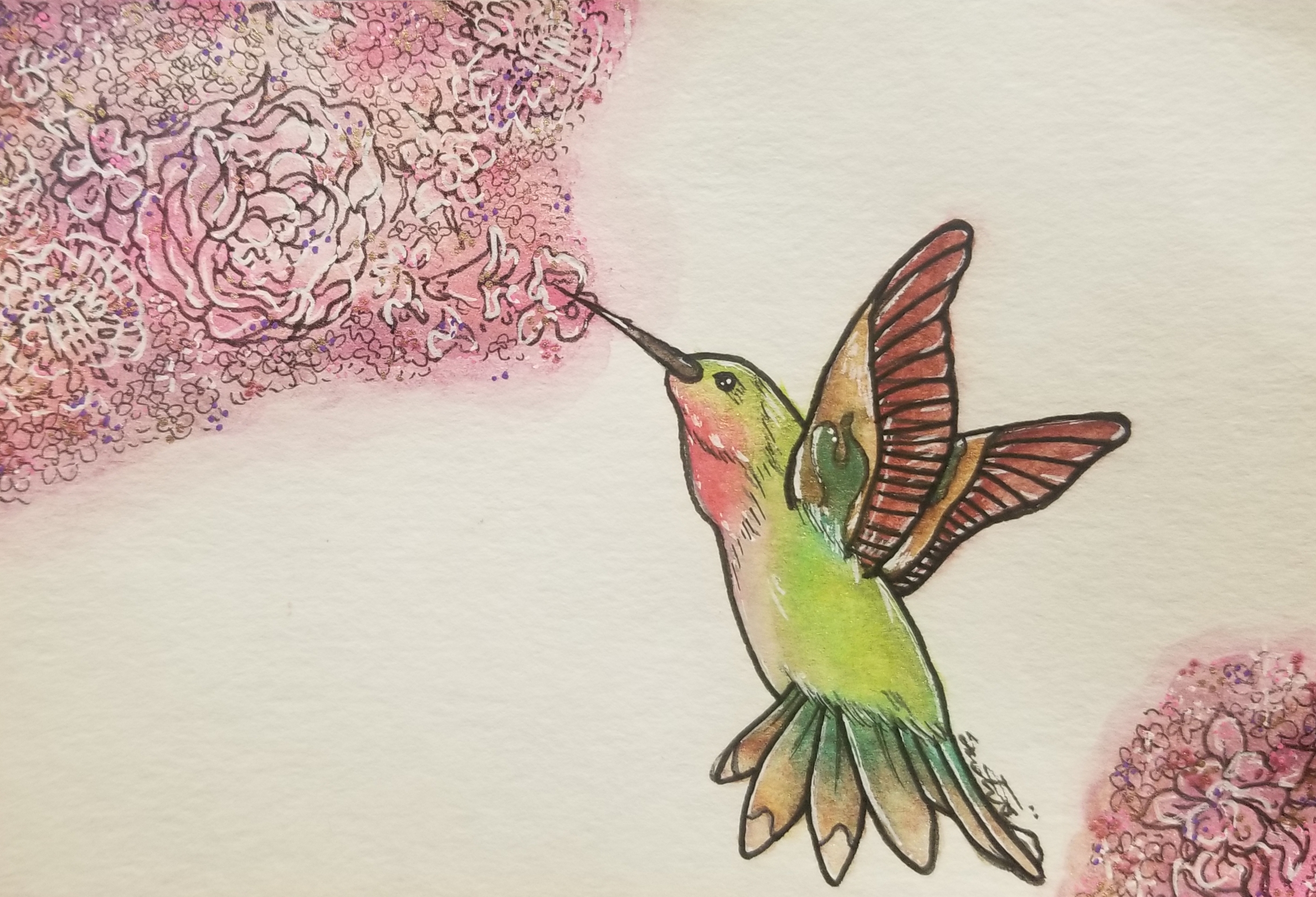 hummingbird