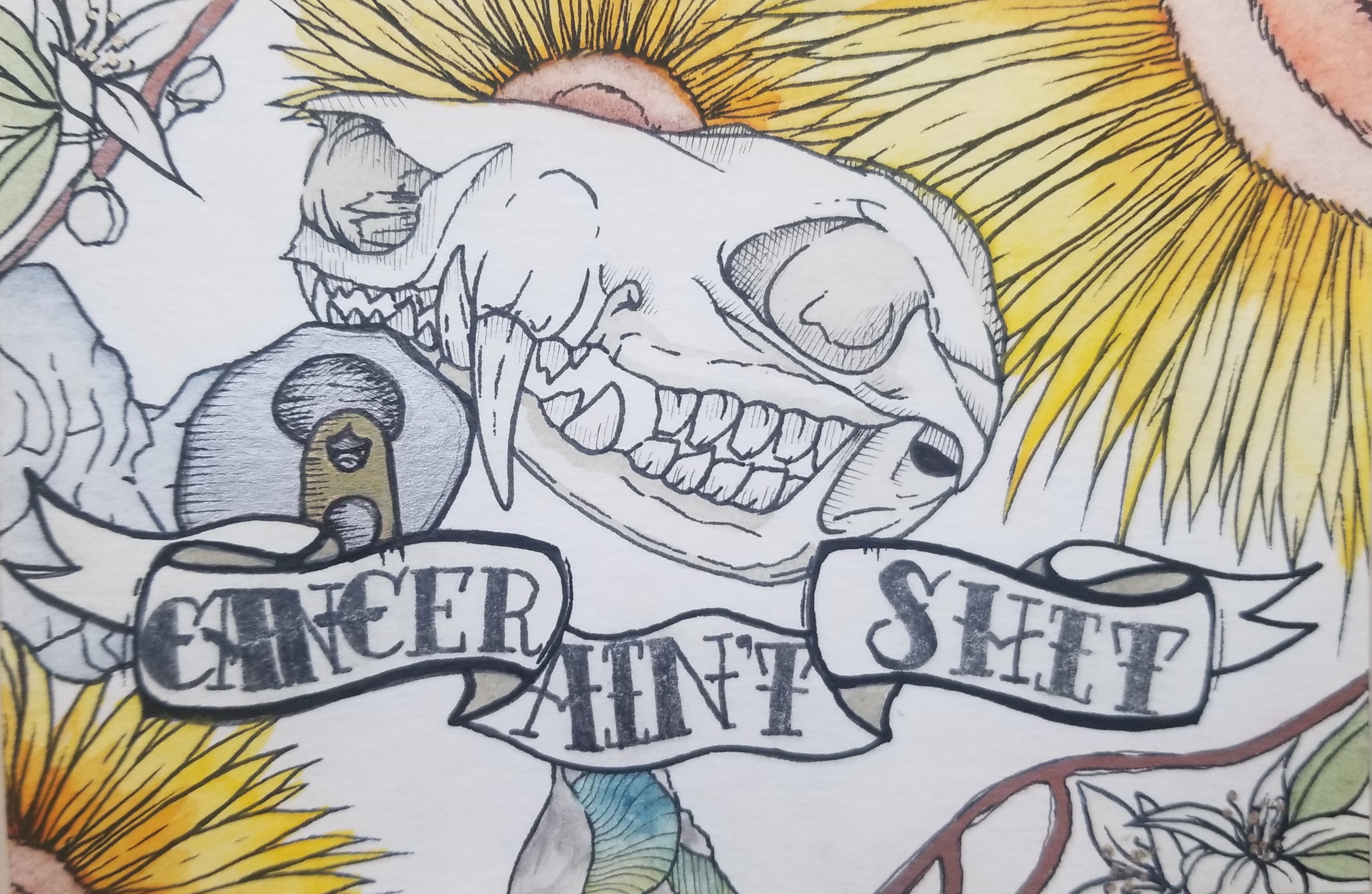 opossum-cancer-skull