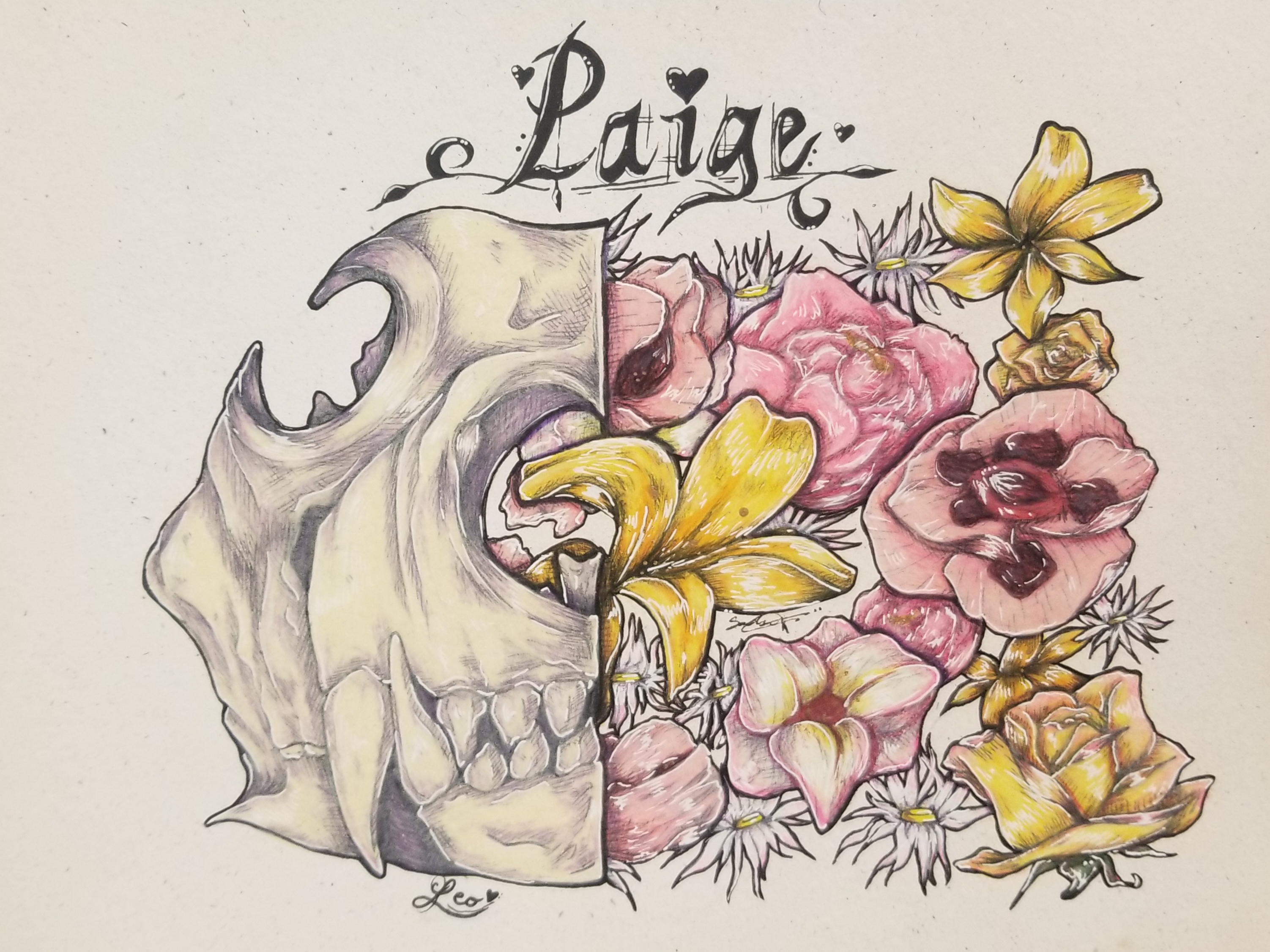 paige-leo-skull