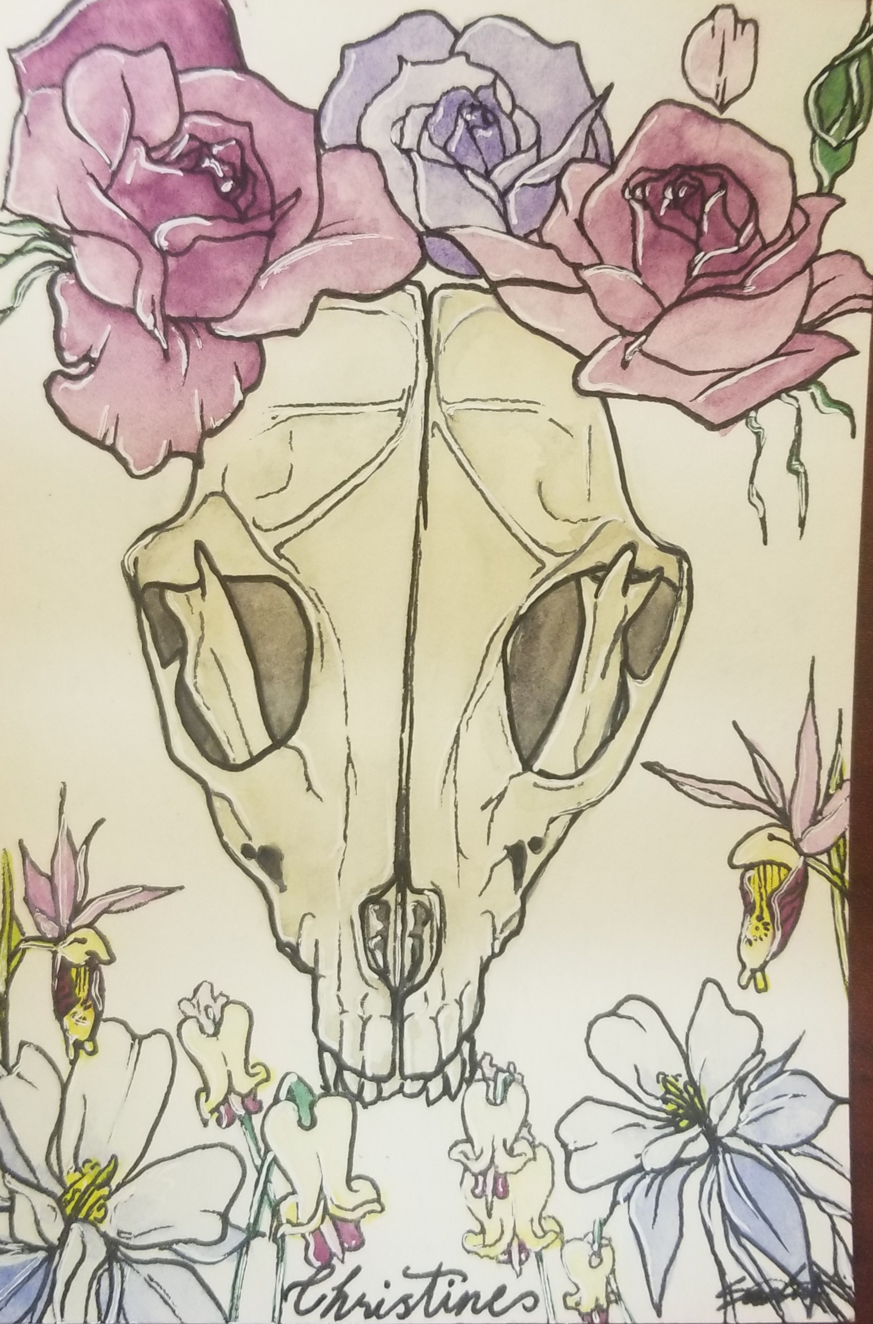 squirrel-skull-christine