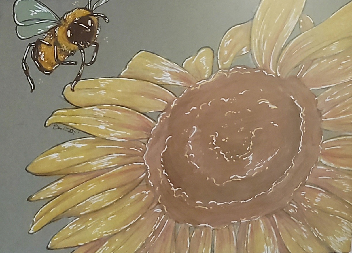 sunflower-w-bee