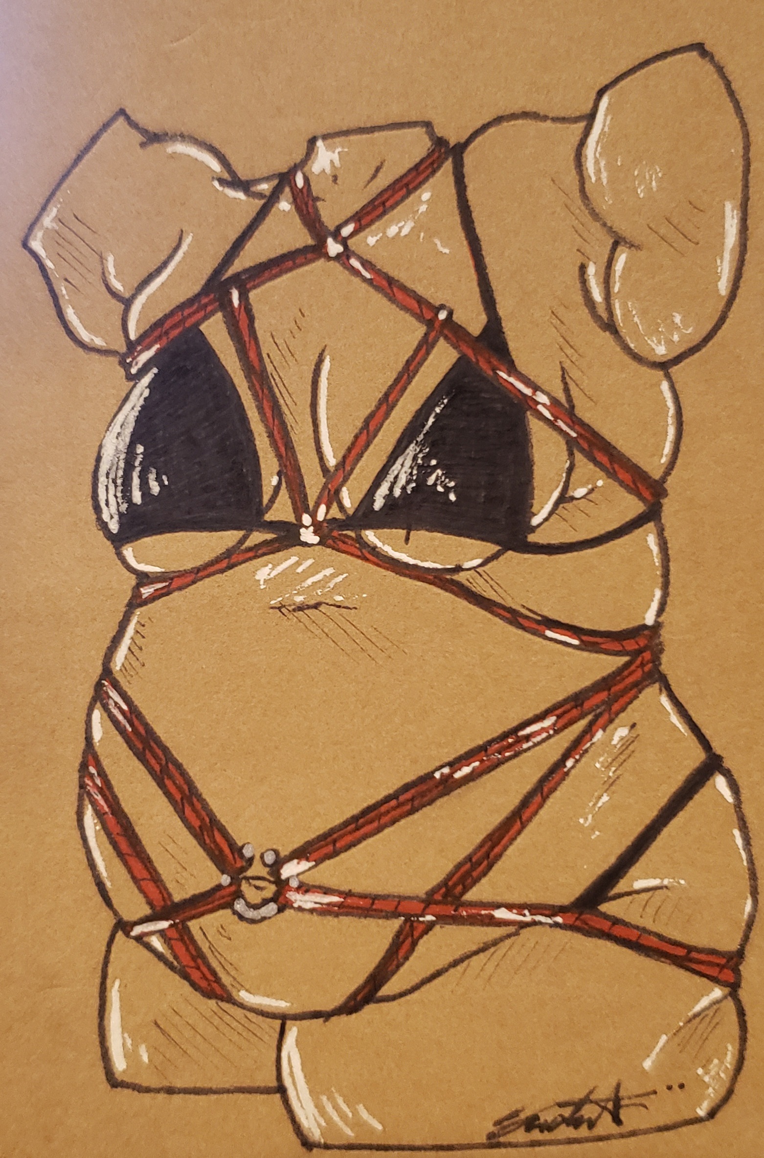 moeflavor-shibari-set