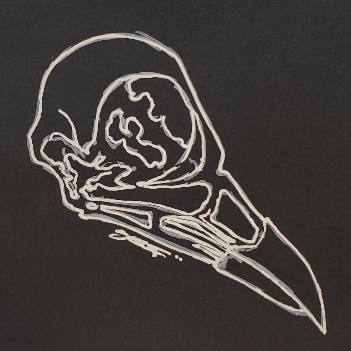 crow-skull