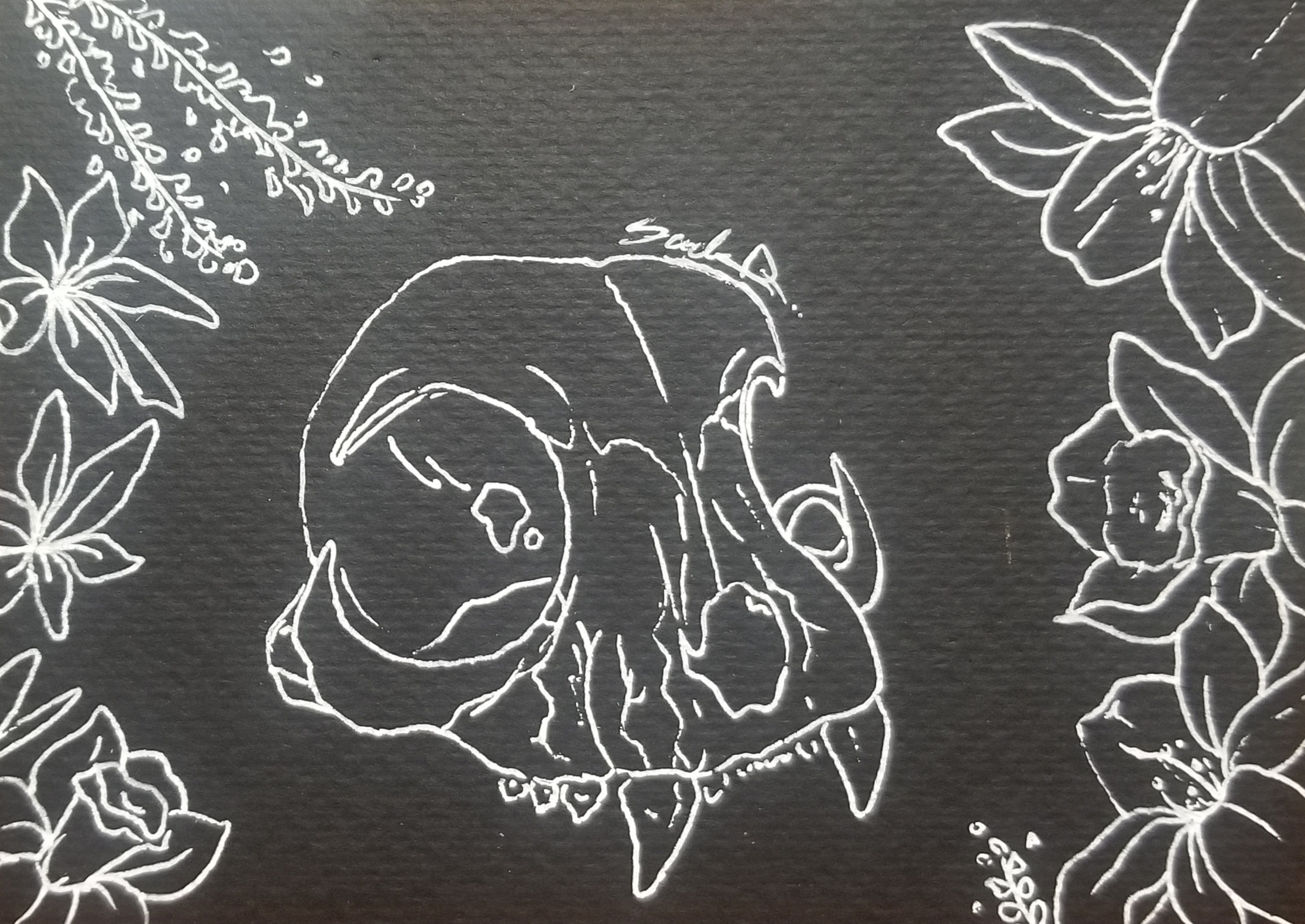 cat-skull-w-flowers-ii