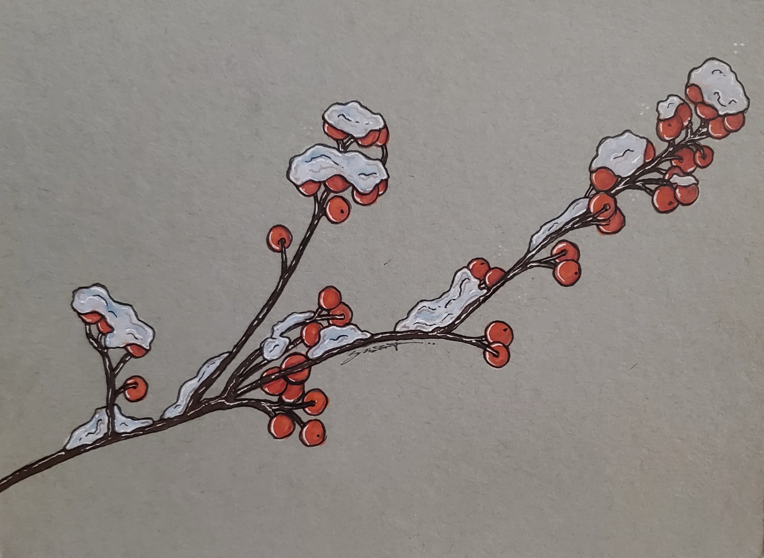 winterberries